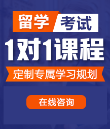 啊啊啊啊啊啊啊…受不了了…在用力插留学考试一对一精品课